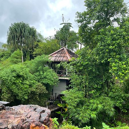 Khaosok Farmstay Khao Sok National Park Bagian luar foto