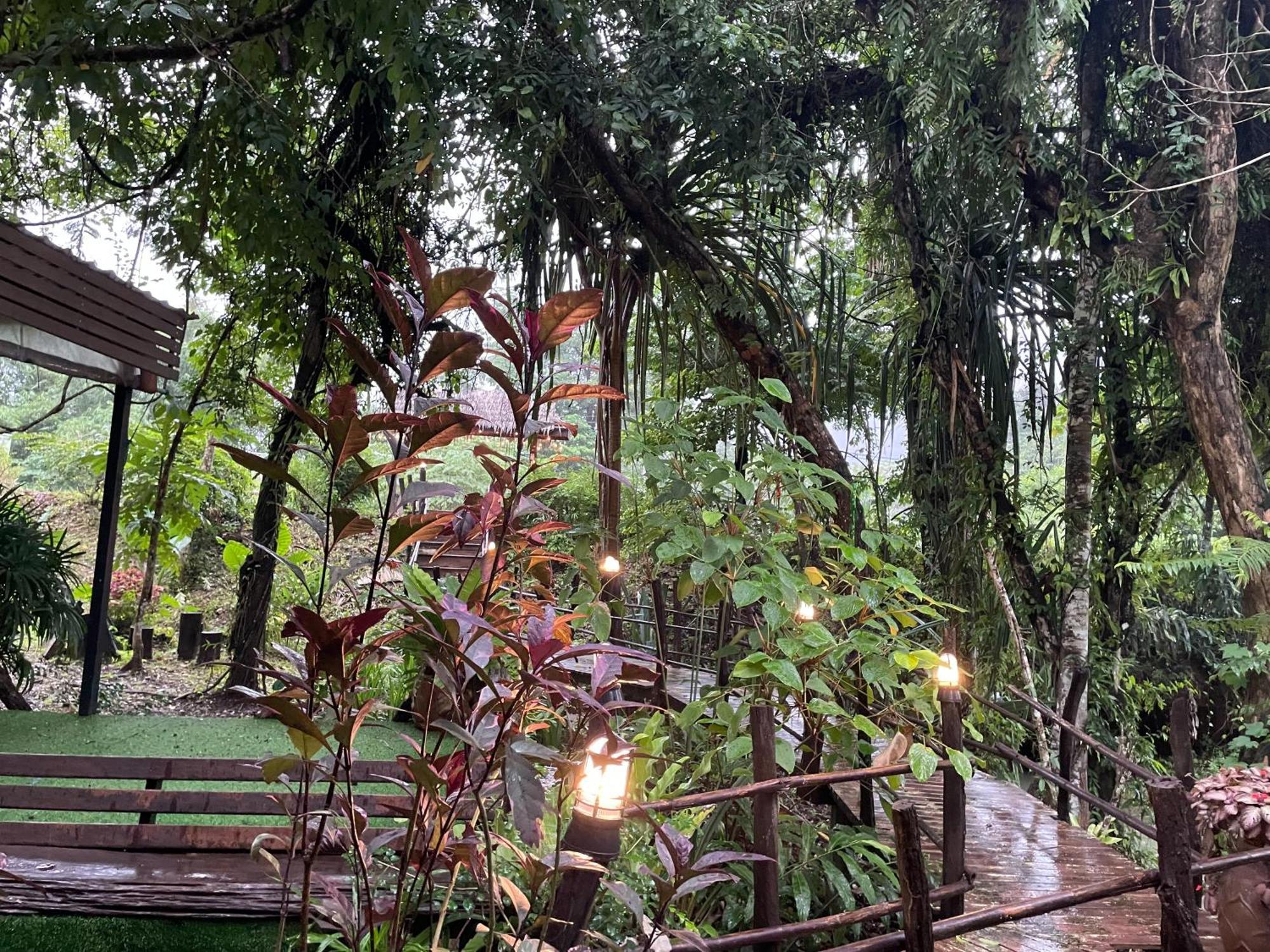 Khaosok Farmstay Khao Sok National Park Bagian luar foto